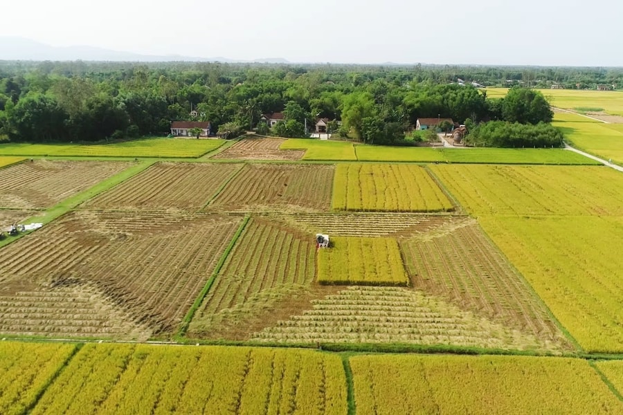 Đề xuất kéo dài miễn thuế sử dụng đất nông nghiệp đến hết năm 2030