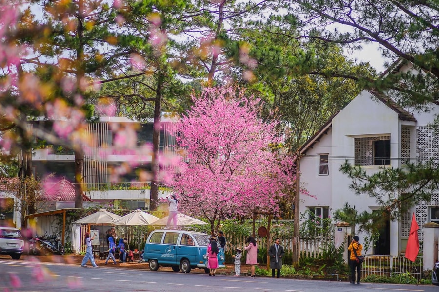 Bảng lảng Măng Đen vào Đông