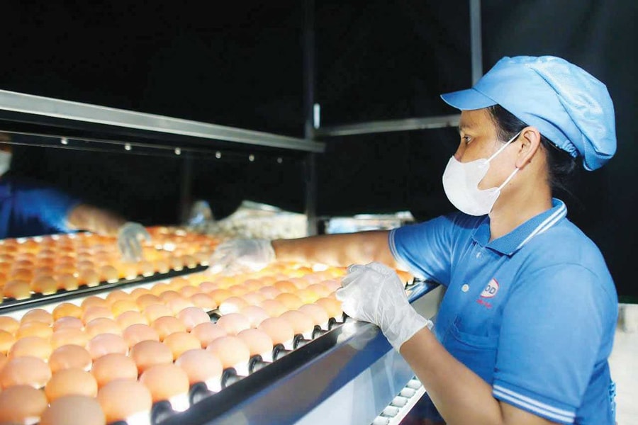 Tết 2025: Tăng tốc sản xuất, thị trường còn trầm lắng