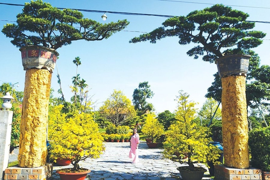 Cái Mơn - Bản giao hưởng hoa kiểng giữa lòng miền Tây sông nước