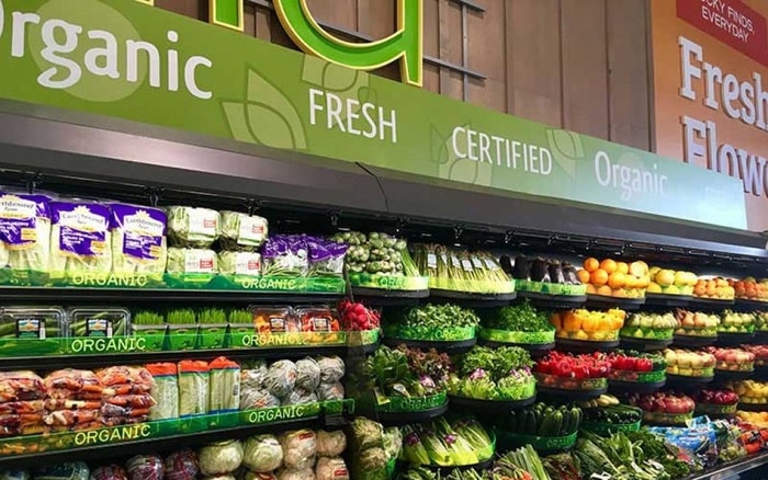 Chiến lược thâm nhập thị trường Bắc Âu cho sản phẩm hữu cơ Việt Nam