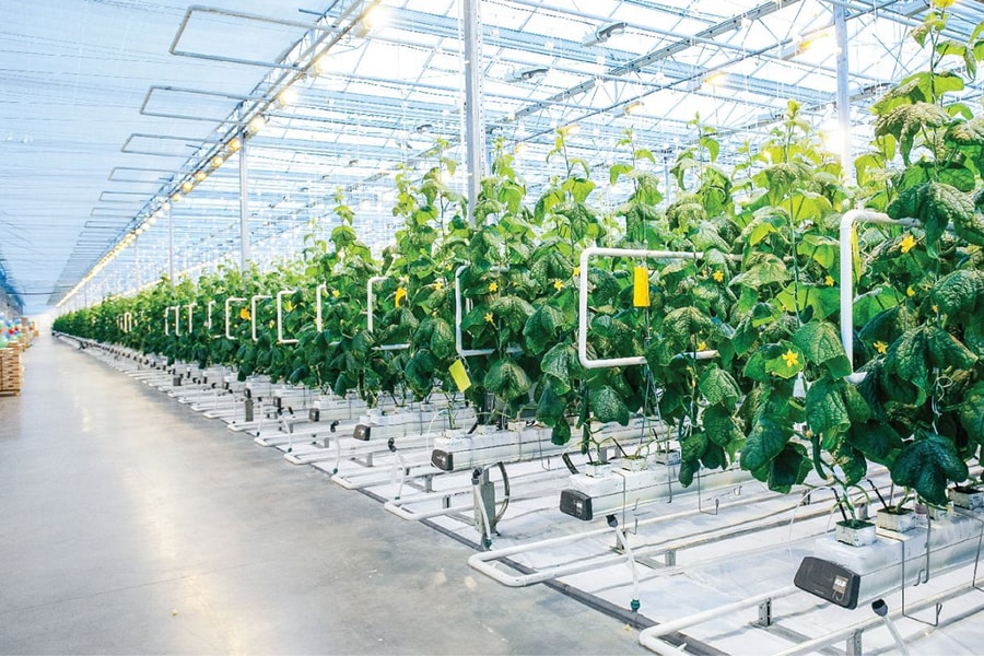 Để thế hệ trẻ khởi nghiệp trong lĩnh vực nông nghiệp