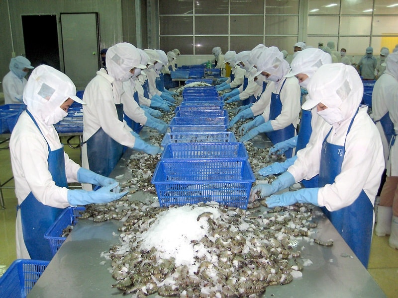 Nhiều biến động trong nhu cầu tiêu thụ tôm tại các thị trường chủ lực đầu năm 2025