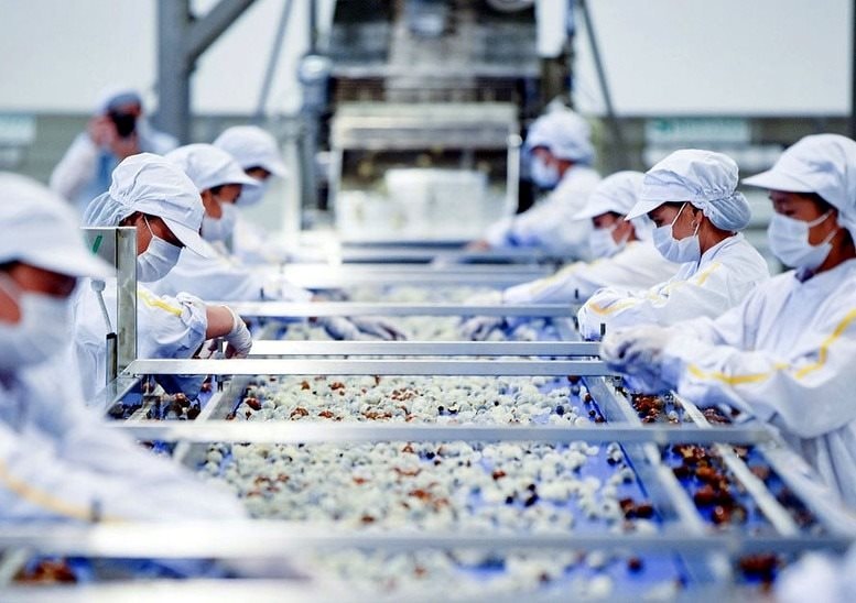 Nhiều cơ hội cho hàng Việt Nam tại thị trường New Zealand