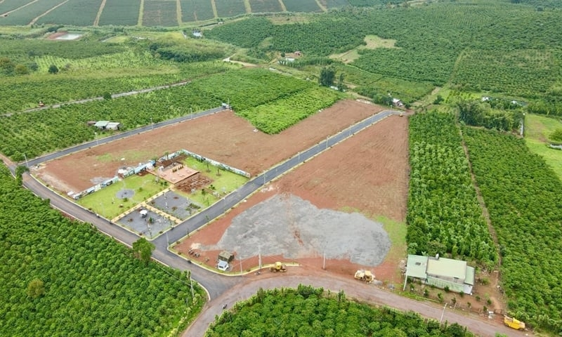 Quy hoạch sử dụng đất quốc gia: Mở rộng không gian sáng tạo cho địa phương