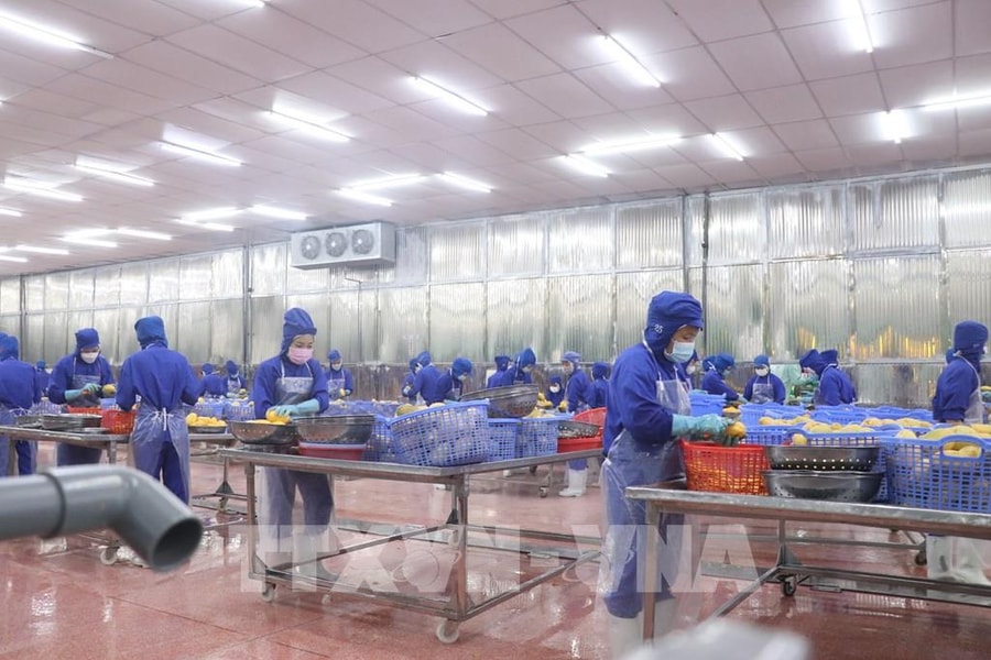 Đề xuất miễn, giảm thuế thu nhập doanh nghiệp để thúc đẩy khởi nghiệp và phát triển kinh tế tư nhân