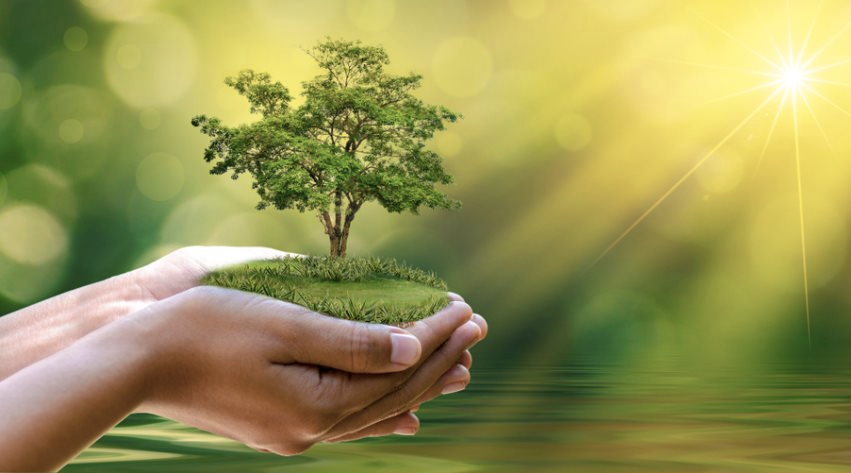 Chính thức ban hành tiêu chí môi trường và quy trình xác nhận dự án đầu tư thuộc danh mục phân loại xanh