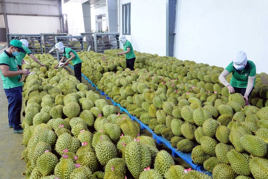 Định vị lại trái cây Việt trên thị trường quốc tế