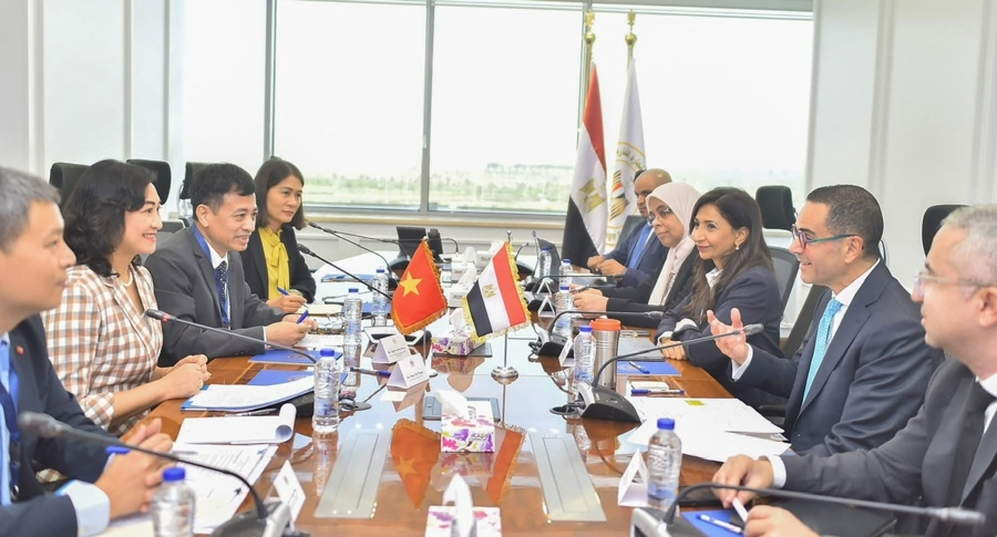 Thành lập Nhóm Công tác Nghiên cứu Khả thi Hiệp định Thương mại Tự do (FTA) Việt Nam - Ai Cập