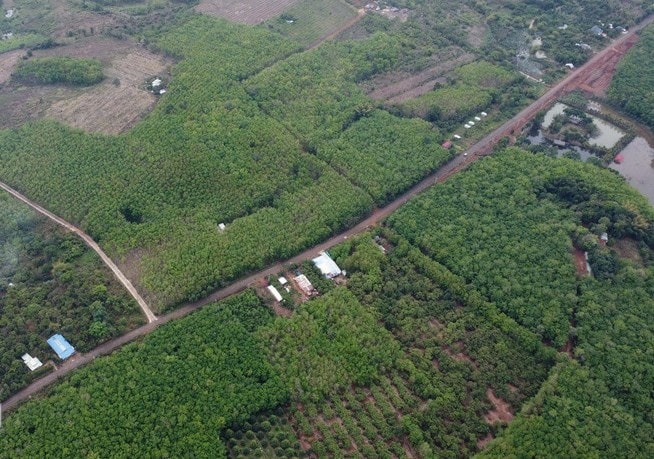 Đề xuất đầu tư hơn 22.600 tỷ đồng tuyến kết nối Đồng Xoài - Vành đai 4 qua cầu Mã Đà