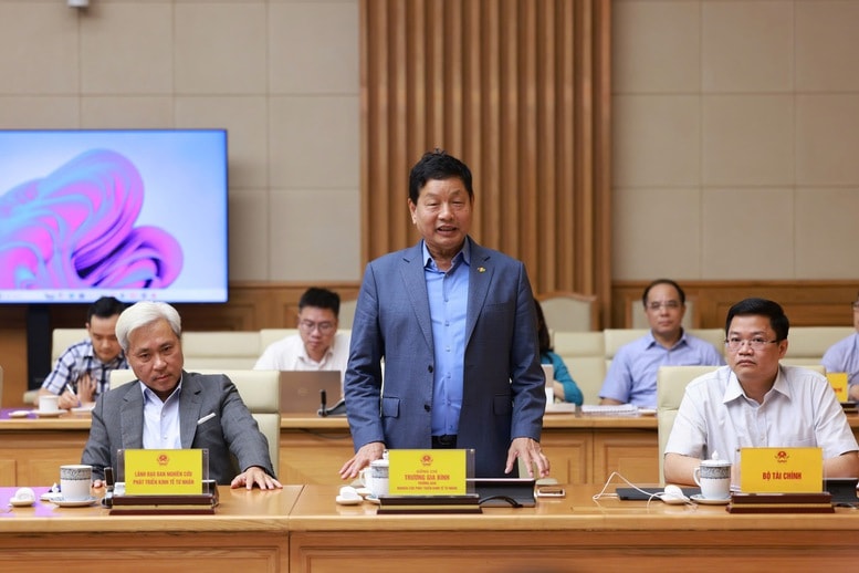 Thủ tướng đề nghị Chủ tịch FPT và các chuyên gia nghiên cứu thành lập Quỹ Phát triển Kinh tế tư nhân