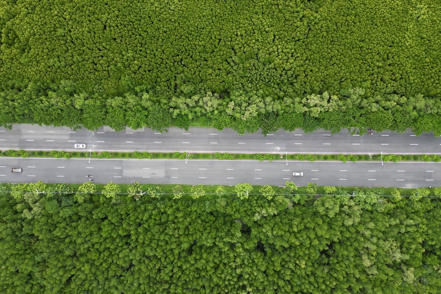 Đề xuất hỗ trợ 100% chi phí phương tiện khi người dân Cần Giờ chuyển sang xe điện