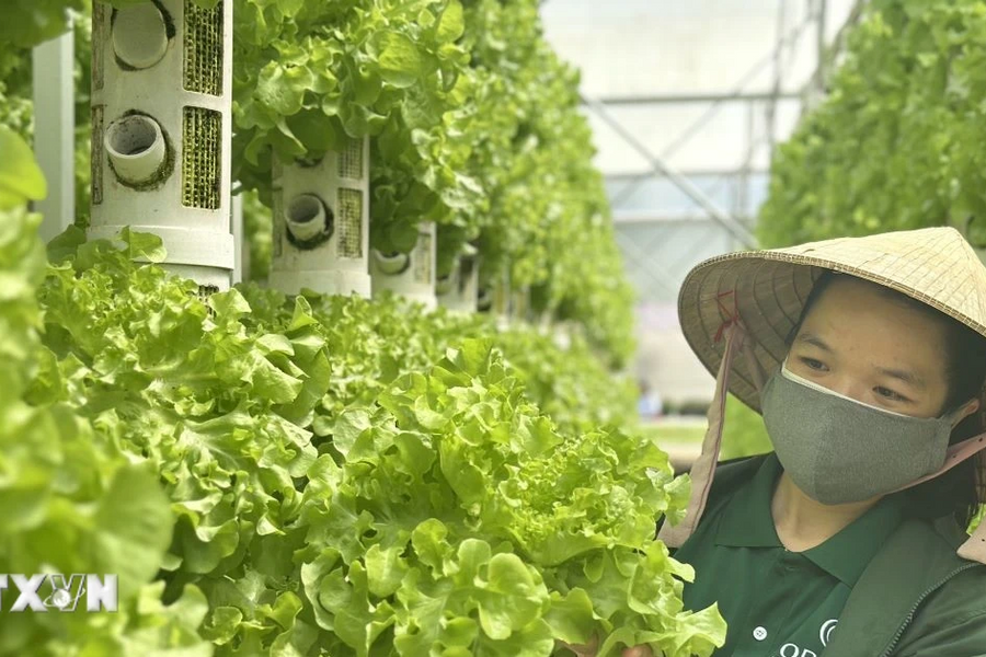 Australia tăng cường đầu tư vào nông nghiệp bền vững tại Việt Nam