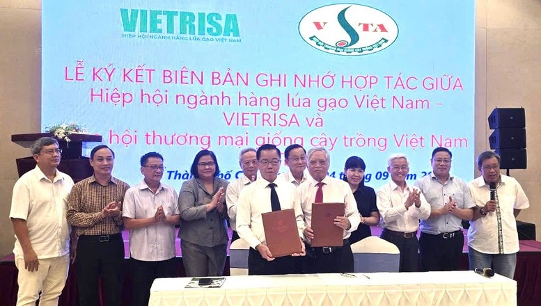 Khoa học công nghệ nâng tầm hạt giống lúa gạo Việt Nam