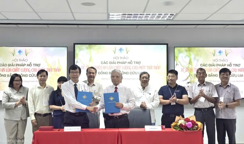 Đề án 1 triệu ha lúa: Lợi ích kép cho nông dân, môi trường và an ninh lương thực