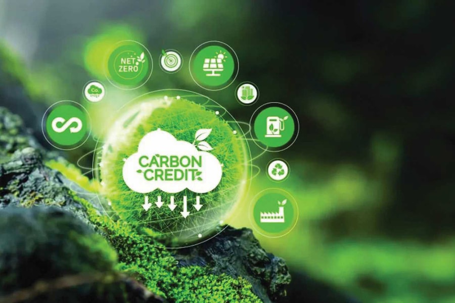 Tín chỉ carbon phải được xem là một loại tài sản