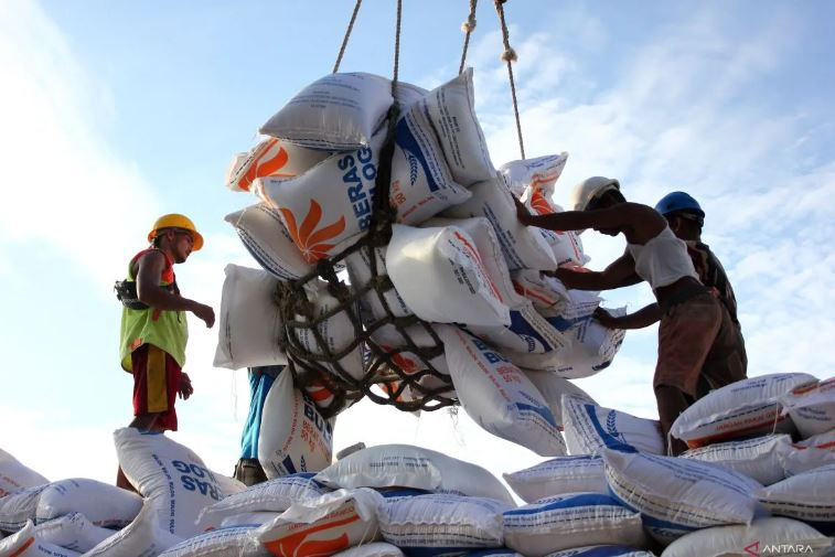 Đồng baht mạnh đẩy giá gạo Thái Lan tăng, gạo Việt Nam chịu áp lực giảm