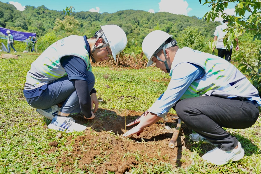 Coteccons trồng 11.777 cây bản địa góp phần hồi sinh rừng đầu nguồn tại Quảng Trị