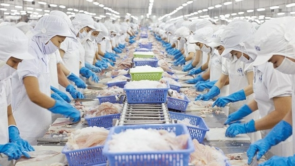 Bộ Công Thương đề nghị Mỹ xem xét khách quan về thương mại thủy sản