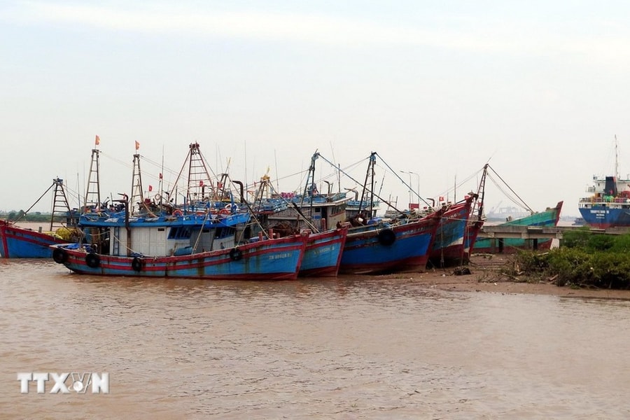 Nghệ An cấm tàu thuyền ra khơi từ 5 giờ ngày 27/9 để ứng phó bão Bualoi