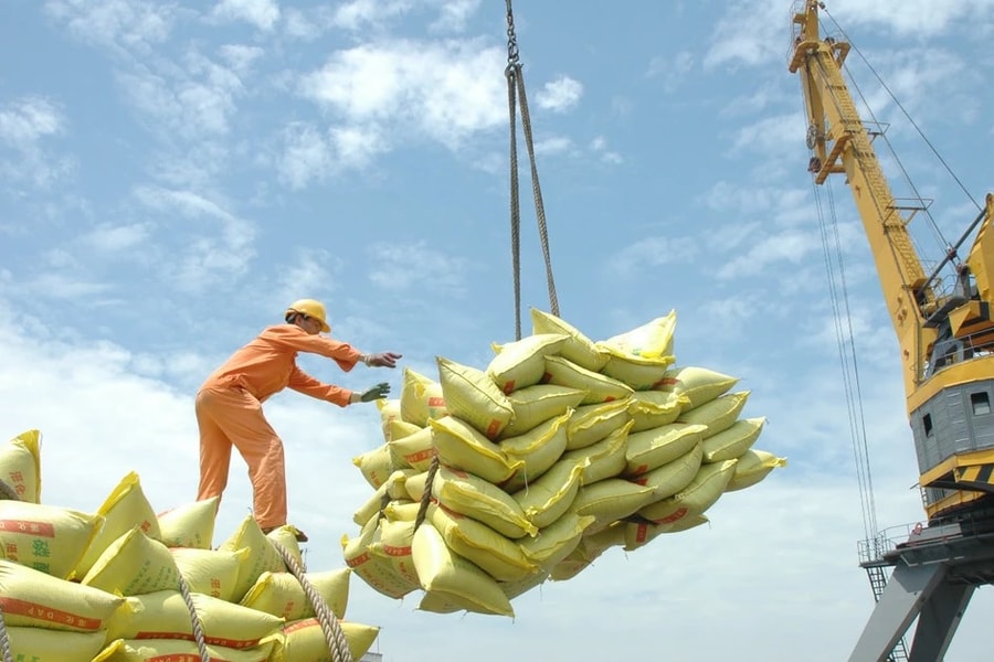 Việt Nam chi hơn 1,5 tỷ USD nhập khẩu gạo trong 9 tháng