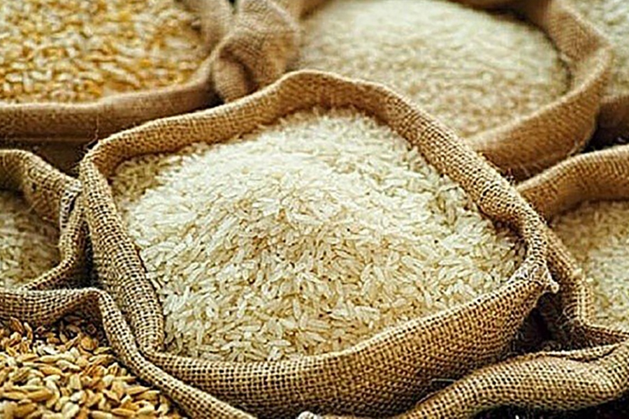 Xuất khẩu gạo Việt Nam duy trì thị phần ổn định tại Singapore