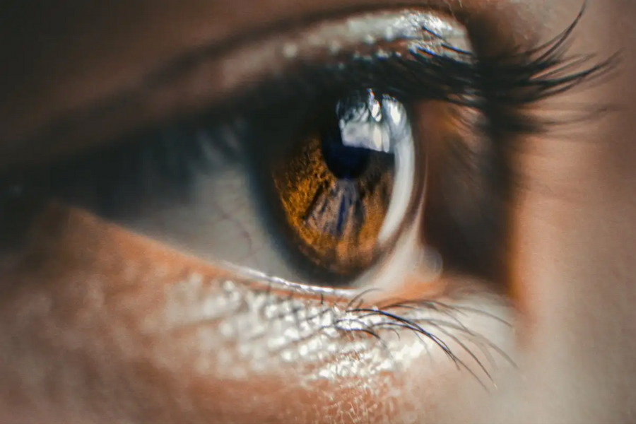 Khôi phục thị lực nhờ chip thị giác nhân tạo