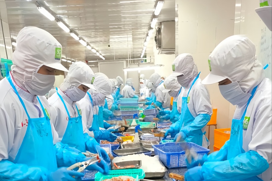 Cần lực đẩy chính sách cho doanh nghiệp TP.HCM