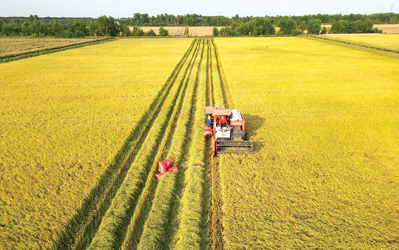 Thúc đẩy 15 mô hình nông nghiệp carbon thấp đến năm 2035