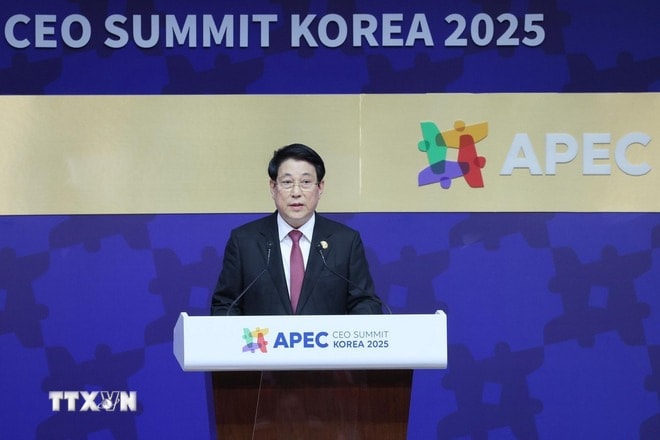 Chủ tịch nước Lương Cường: Đổi mới sáng tạo là động lực then chốt cho phát triển quốc gia