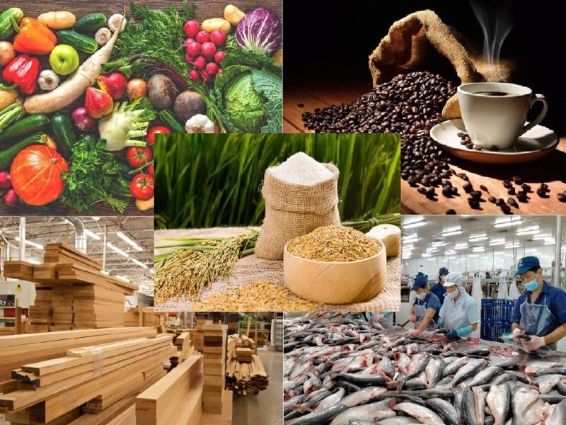 Cà phê, rau quả và thủy sản dẫn đầu tăng trưởng xuất khẩu nông sản Việt Nam