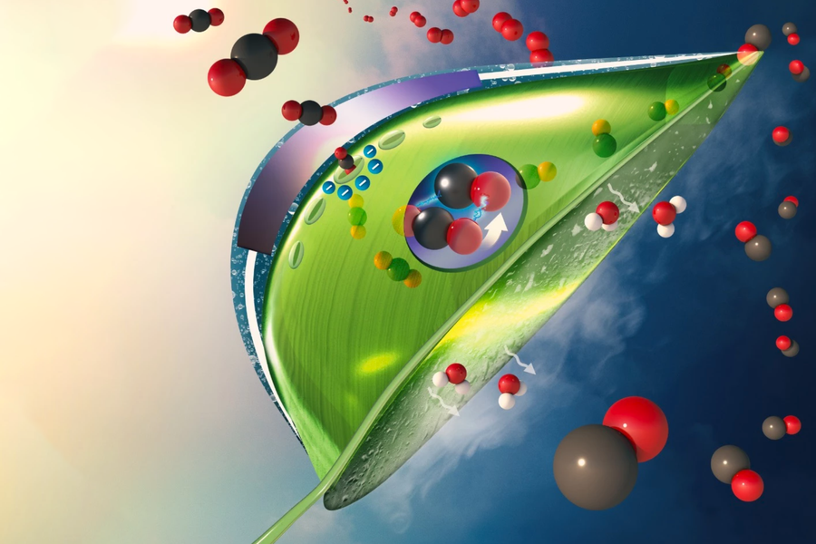 Lá nhân tạo - giải pháp xanh tái sinh khí nhà kính