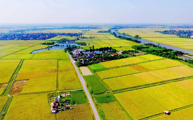 Hướng dẫn mới về cách tính tiền bồi thường đất nông nghiệp khi Nhà nước thu hồi