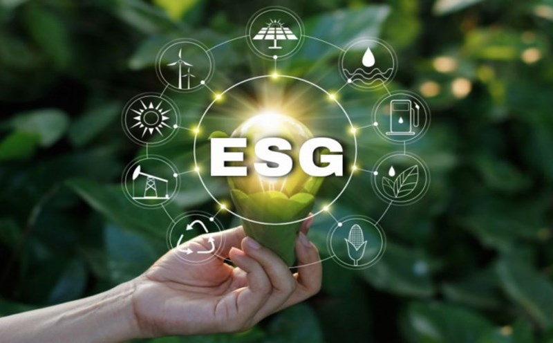 Thủ tướng yêu cầu hoàn thiện khung chính sách tín dụng xanh, hỗ trợ lãi suất 2% cho doanh nghiệp