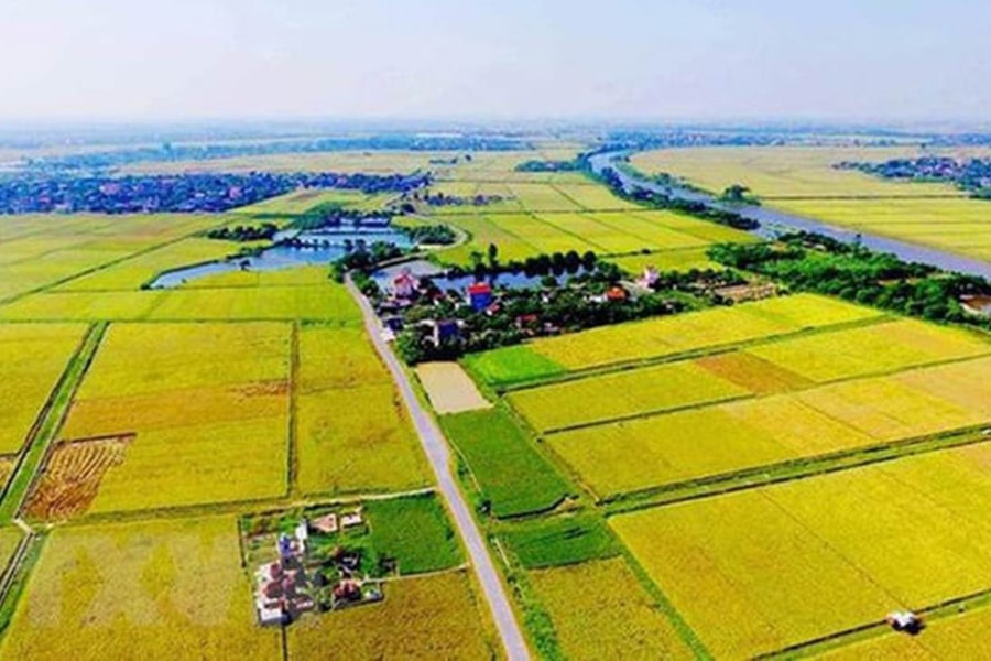 Đề xuất quy định mới về tiền sử dụng đất khi chuyển đất vườn, đất nông nghiệp sang đất ở