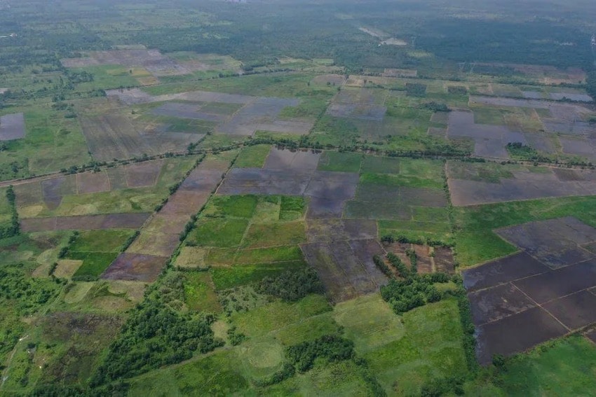 TP.HCM duyệt quy hoạch Khu đô thị Đại học Quốc tế, quy mô 60.000 sinh viên