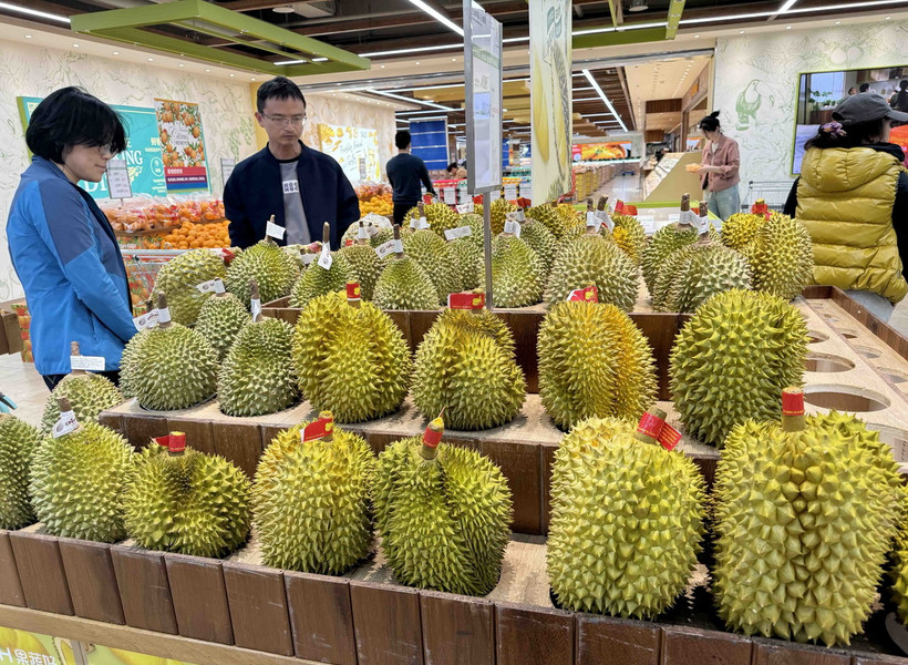 Sầu riêng Việt Nam mở rộng thị phần, Malaysia chi mạnh nhập khẩu