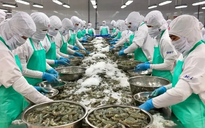 Xuất khẩu thủy sản phục hồi rõ nét, đạt hơn 11 tỷ USD trong năm 2025