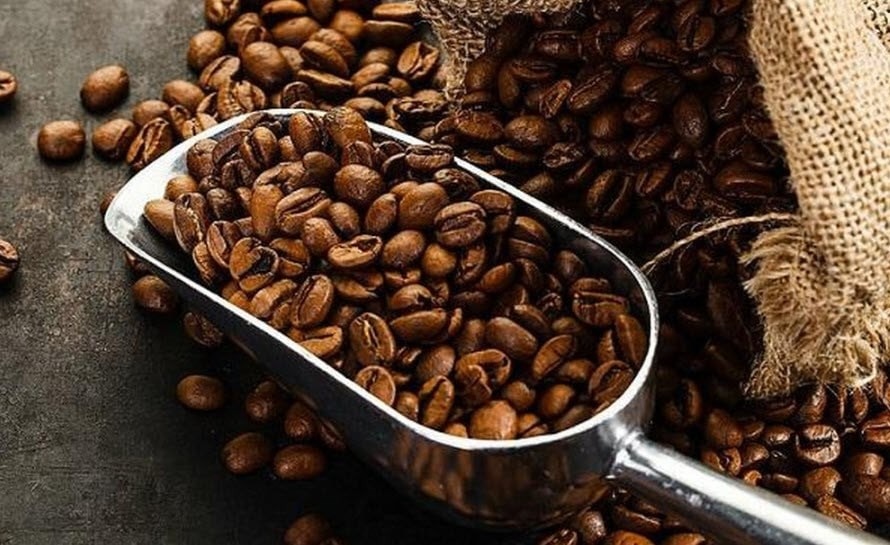 Giá cà phê bật tăng trở lại, thị trường dần ổn định sau nhịp giảm sâu