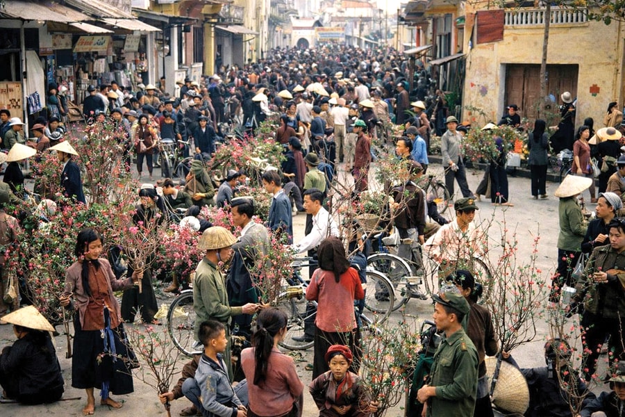 1966 - Năm Bính Ngọ: Một vòng đời giữa dòng chảy Lịch sử