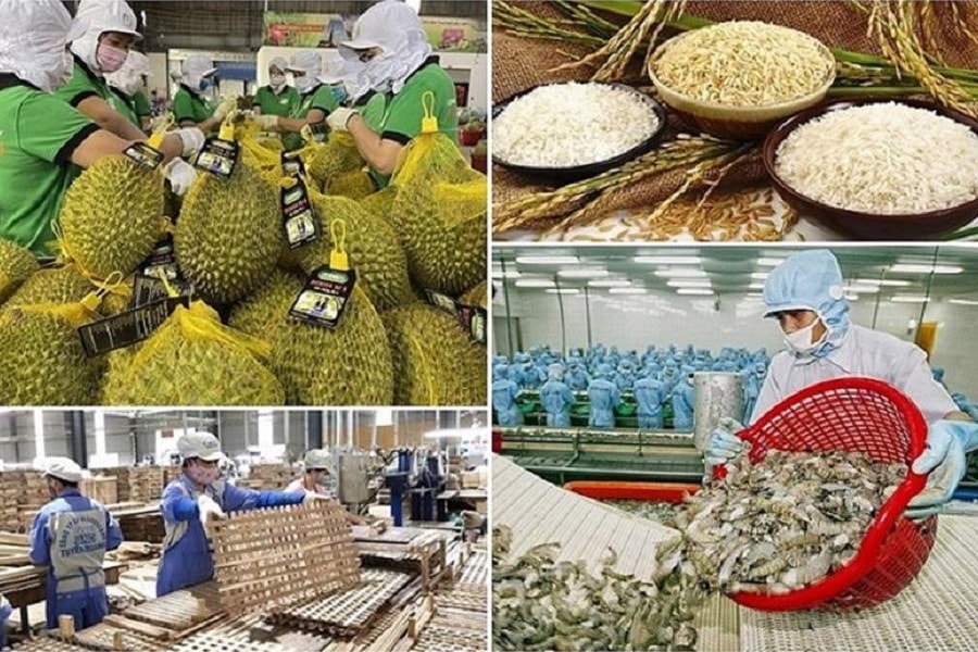 Xuất khẩu nông, lâm, thủy sản hướng tới mốc 74 tỷ USD vào năm 2026