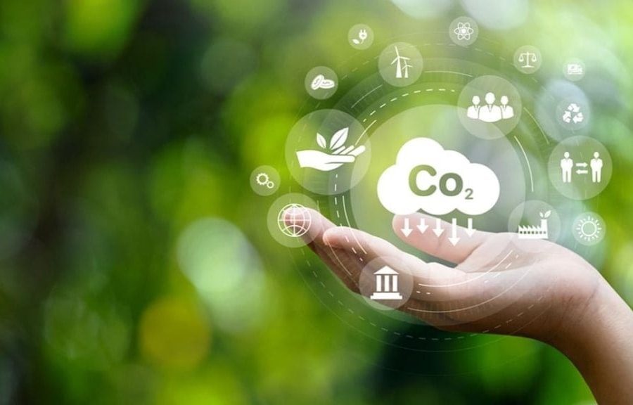 Bộ Nông nghiệp và Môi trường sẽ cấp mã và số sê-ri cho hạn ngạch phát thải, tín chỉ carbon