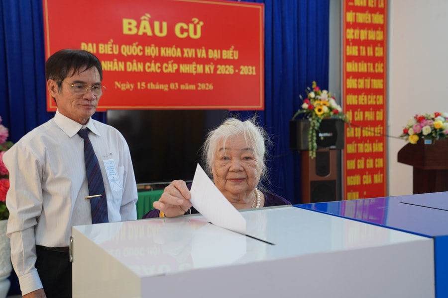 99% cử tri TP.HCM đi bỏ phiếu bầu cử