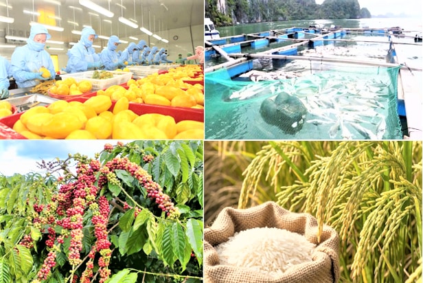 Kim ngạch xuất khẩu nông, lâm, thủy sản quý I/2026 tăng 5,9%