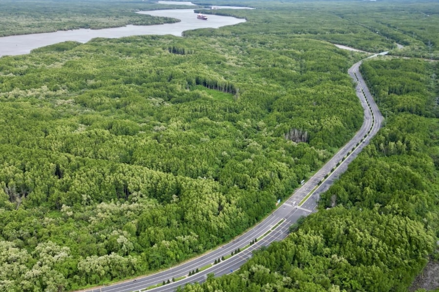 TP.HCM chấp thuận lập đề xuất nâng cấp đường Rừng Sác lên 10 làn xe