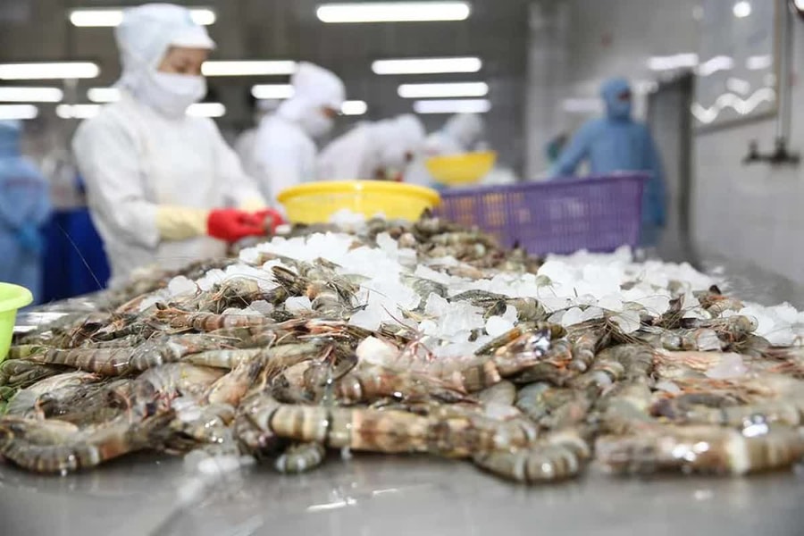 Mỹ công bố kết luận sơ bộ chống bán phá giá đối với tôm Việt Nam