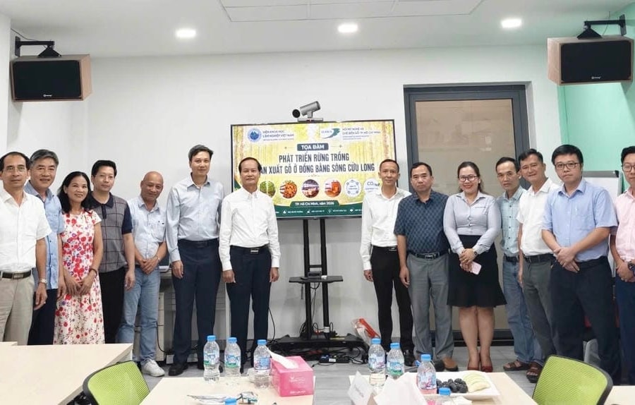 Khai mở tiềm năng vùng nguyên liệu gỗ tại Đồng bằng sông Cửu Long