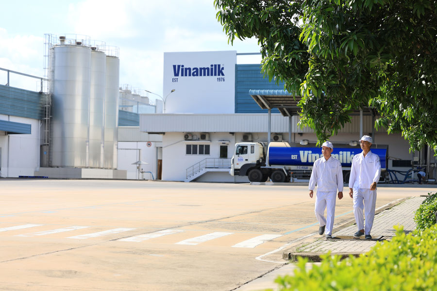 Ba năm liền góp mặt trong Fortune Sea 500: Vinamilk khẳng định vị thế thương hiệu sữa Việt
